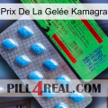 Prix De La Gelée Kamagra new03